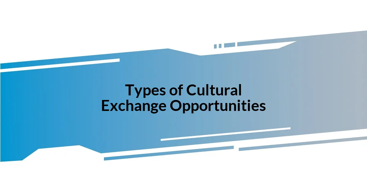 Types of Cultural Exchange Opportunities